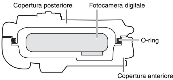 Copertura posteriore Fotocamera digitale O-ring Copertura anteriore