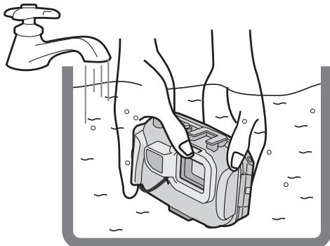 PANASONIC LUMIX DMW-MCFT3PP - Note - 1