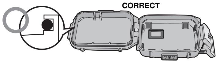 PANASONIC LUMIX DMW-MCFT3PP - Fit the O-ring evenly into the O-ring groove. - 1