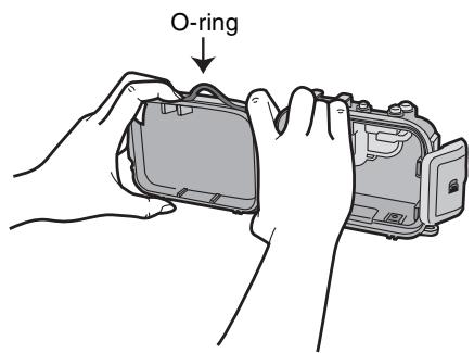 O-ring