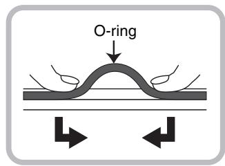 O-ring