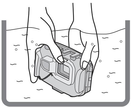 PANASONIC LUMIX DMW-MCFT3PP - Note - 1