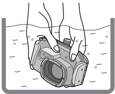 PANASONIC LUMIX DMW-MCTZ1E - ■ Hinweise - 1