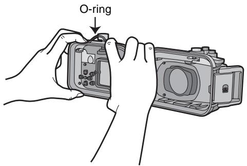 O-ring