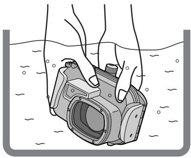 PANASONIC LUMIX DMW-MCTZ1E - After setting the O-ring, check that no water leaks into the Case by submerging it in a water tank, bath tub etc. for more than about 3 minutes before attaching a digital camera. - 1