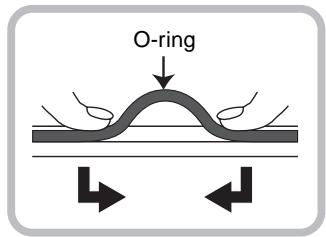 O-ring