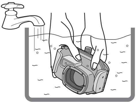 PANASONIC LUMIX DMW-MCTZ1E - Note - 1