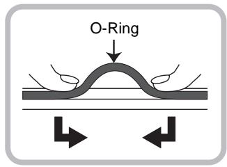 O-Ring