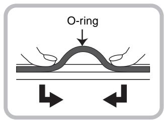 O-ring