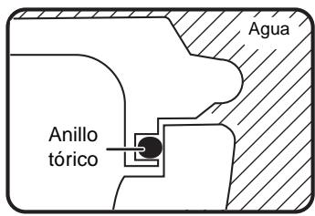 Agua Anillo tórico