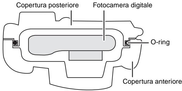 Copertura posteriore Fotocamera digitale O-ring Copertura anteriore
