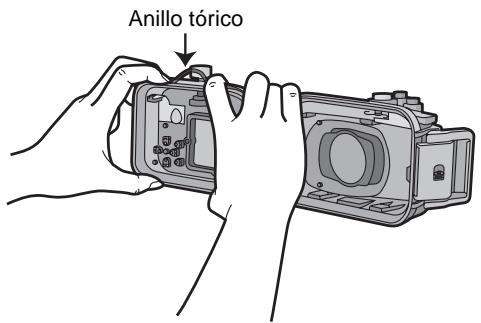 Anillo tórico
