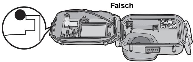 Falsch