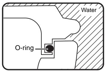 Water O-ring