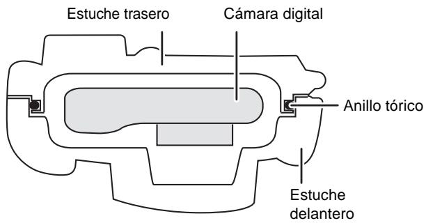 Estuche trasero Cámara digital Anillo tórico Estuche delantero