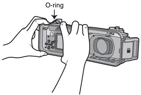 O-ring