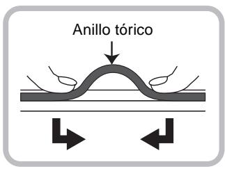Anillo tórico