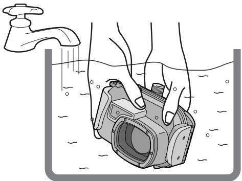 PANASONIC LUMIX DMW-MCTZ1E - ■ Remarque - 1