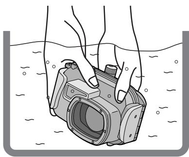 PANASONIC LUMIX DMW-MCTZ1E - ■ Remarques - 1