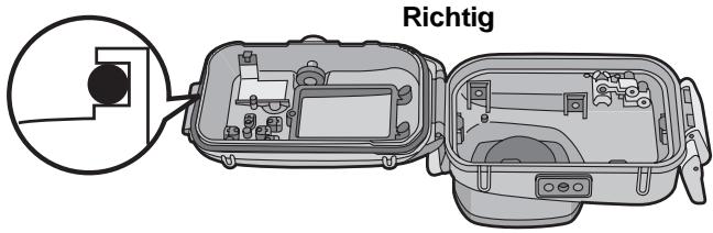 Richtig