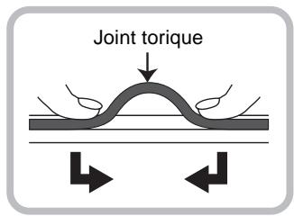 Joint torque