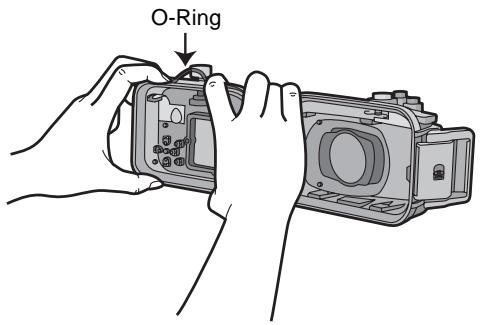 O-Ring