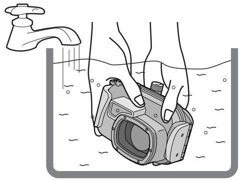 PANASONIC LUMIX DMW-MCTZ1E - ■ Nota - 1