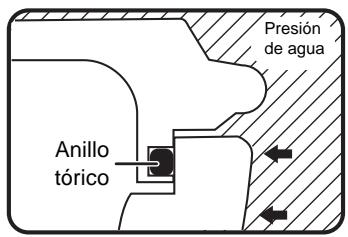 Presión de agua Anillo tórico