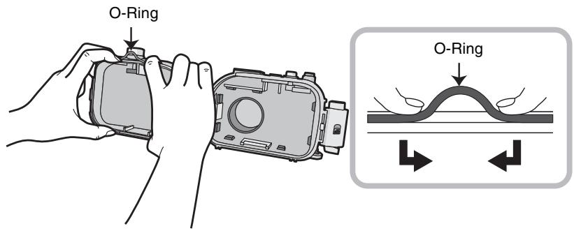 PANASONIC LUMIX DMW-MCTZ20PP - Den O-Ring zum Entfernen mit den Fingern offen. - 1