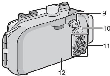 PANASONIC LUMIX DMW-MCTZ20PP - Cuando se sacan imagenes con el flash - 2