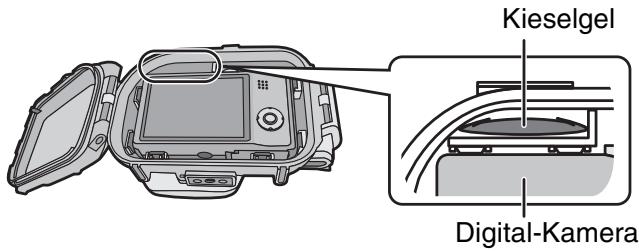 PANASONIC LUMIX DMW-MCTZ20PP - ■ Hinweise - 3