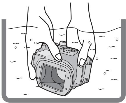 PANASONIC LUMIX DMW-MCTZ20PP - After setting the O-ring, check that no water leaks into the Case by submerging it in a water tank, bath tub etc. for more than about 3 minutes before attaching a digital camera. - 1
