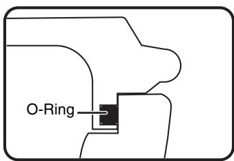 O-Ring