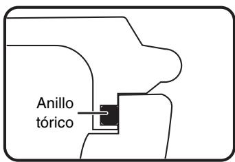 Anillo tórico