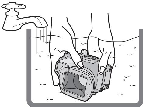 PANASONIC LUMIX DMW-MCTZ30E - Después del uso - 1