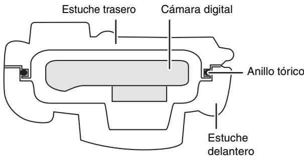 Estuche trasero Cámara digital Anillo tórico Estuche delantero
