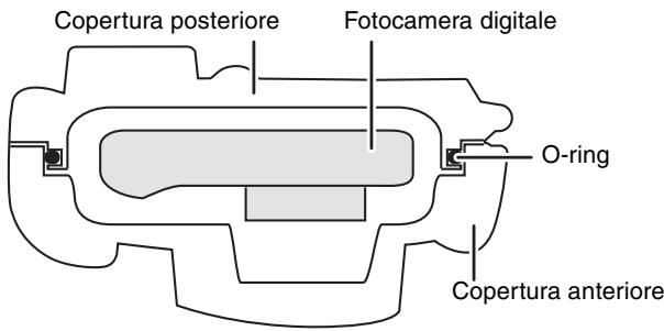 Copertura posteriore Fotocamera digitale O-ring Copertura anteriore