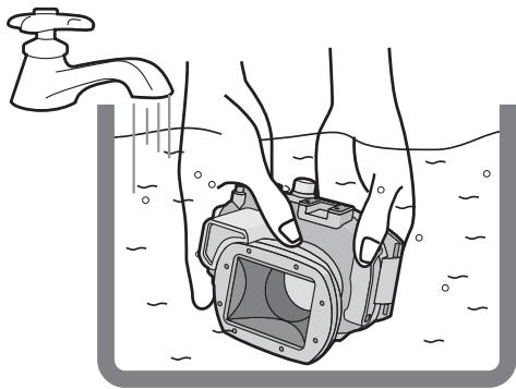 PANASONIC LUMIX DMW-MCTZ30E - Note - 1