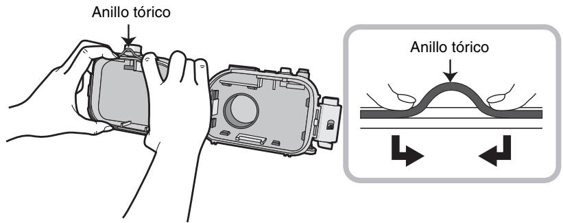 PANASONIC LUMIX DMW-MCTZ30E - Afloje el anillo tórico con sus dedos para quitarlo. - 1