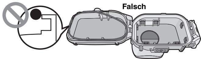Falsch
