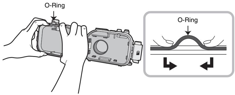 PANASONIC LUMIX DMW-MCTZ30E - Den O-Ring zum Entfernen mit den Fingern lösen. - 1