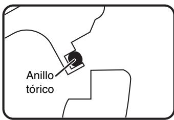 Anillo tórico