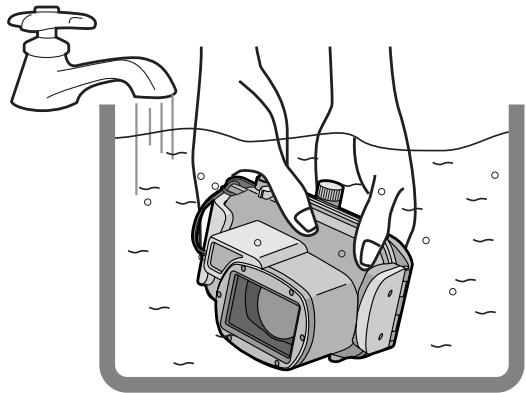 PANASONIC LUMIX DMW-MCTZ3E - Note - 1