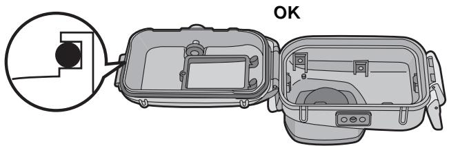 PANASONIC LUMIX DMW-MCTZ3E - Controle la ranura del anillo tórico. - 2