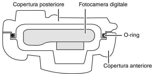 PANASONIC LUMIX DMW-MCTZ3E - Come l'O-ring mantiene l'impermeabilità della custodia - 1