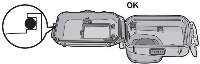 PANASONIC LUMIX DMW-MCTZ3E - Inserire l'O-ring in maniera uniforme nell'apposto alloggiamo. - 1