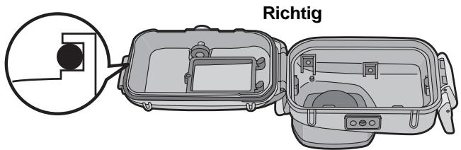 PANASONIC LUMIX DMW-MCTZ3E - Die Nut des O-Rings überprüfen. - 2