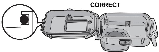 PANASONIC LUMIX DMW-MCTZ3E - Inspect the O-ring groove. - 2
