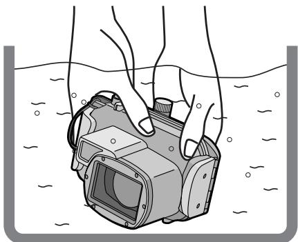PANASONIC LUMIX DMW-MCTZ3E - Note - 1