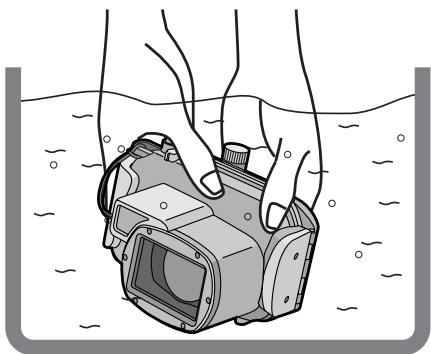 PANASONIC LUMIX DMW-MCTZ3E - Notas - 1